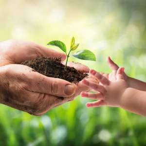 Family business - generations