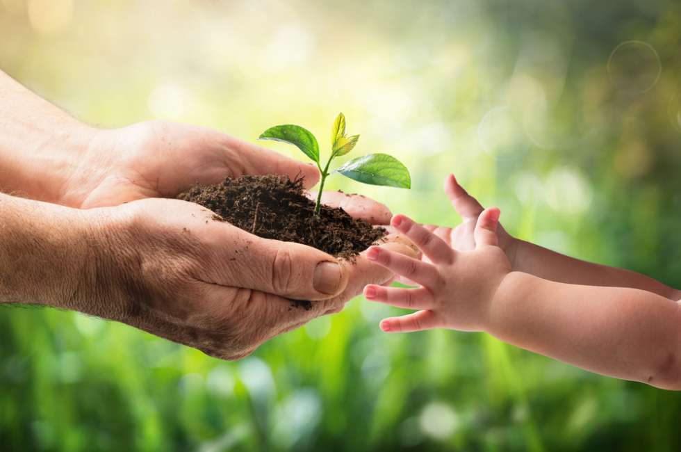 Family business - generations
